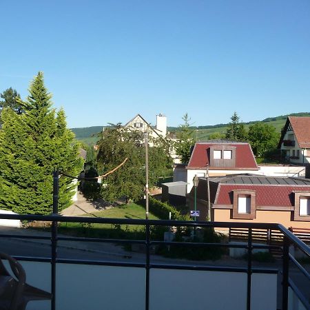 Ferienwohnung Le Parc du Marlenberg Marlenheim Exterior foto